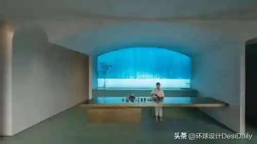 水序阵容搭配插图66