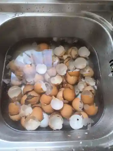 皮探长阵容搭配插图4