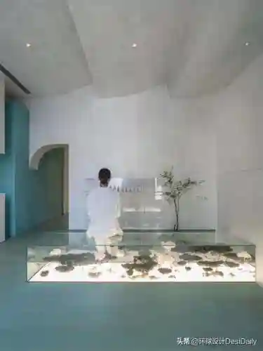 水序阵容搭配插图68