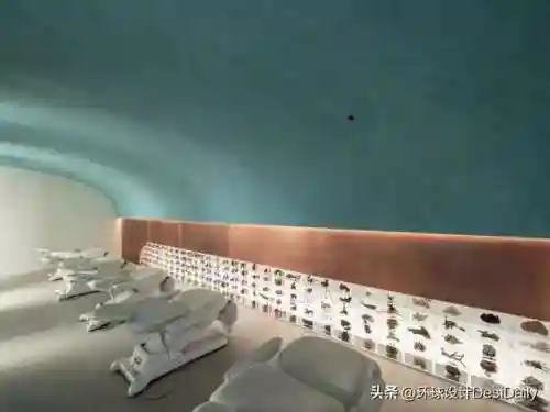 水序阵容搭配插图67