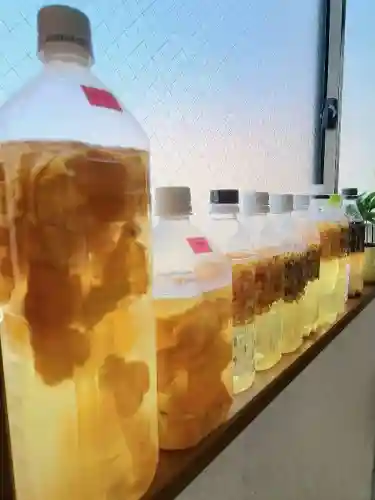 皮探长阵容搭配插图14
