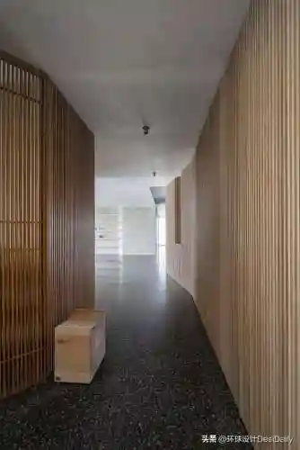 水序阵容搭配插图82