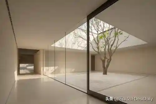 水序阵容搭配插图81