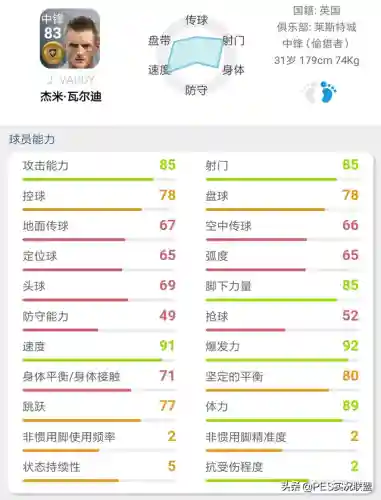 最佳金球阵容搭配推荐(口袋妖怪金最强阵容)插图2