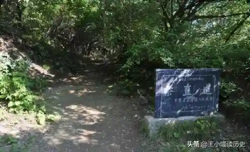 李斯喵的阵容搭配(郝昭最强阵容搭配推荐)插图13