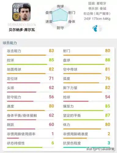 最佳金球阵容搭配推荐(口袋妖怪金最强阵容)插图7