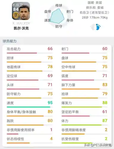 最佳金球阵容搭配推荐(口袋妖怪金最强阵容)插图30