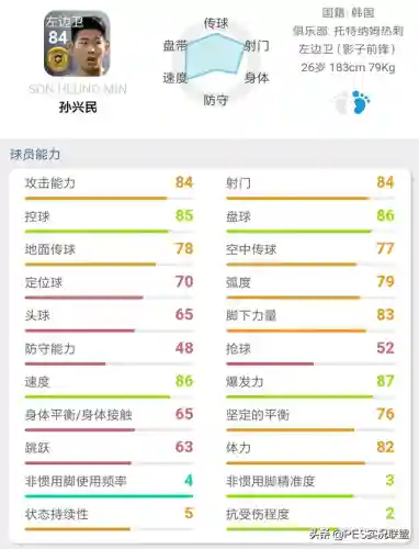 最佳金球阵容搭配推荐(口袋妖怪金最强阵容)插图11