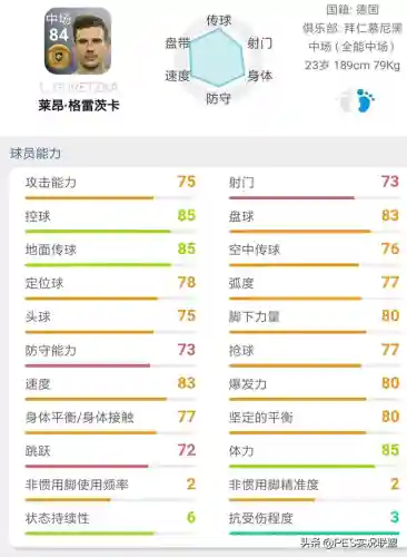 最佳金球阵容搭配推荐(口袋妖怪金最强阵容)插图15