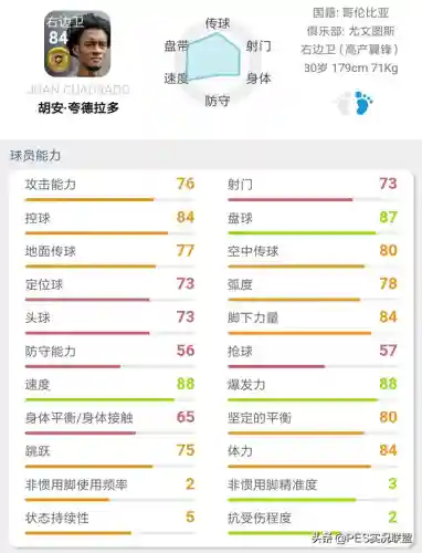 最佳金球阵容搭配推荐(口袋妖怪金最强阵容)插图12