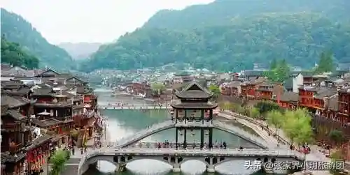 凤凰5怎么搭配阵容最好(斗罗大陆火凤凰阵容搭配)插图34