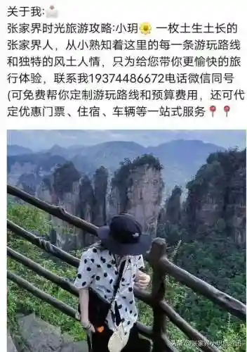 凤凰5怎么搭配阵容最好(斗罗大陆火凤凰阵容搭配)插图4