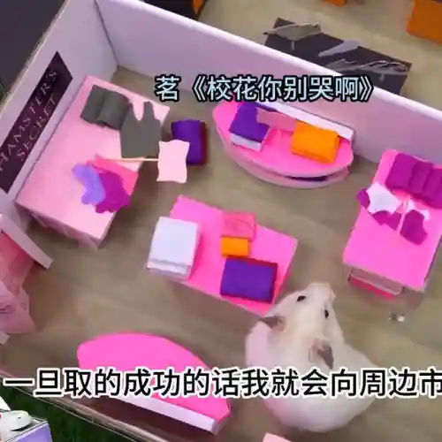 放开那校花15阵容搭配(放开那三国3后期最强阵容推荐)插图5