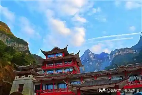 凤凰5怎么搭配阵容最好(斗罗大陆火凤凰阵容搭配)插图22