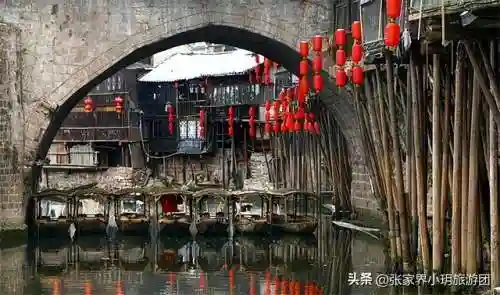 凤凰5怎么搭配阵容最好(斗罗大陆火凤凰阵容搭配)插图35