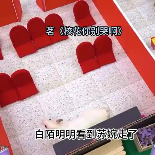 放开那校花15阵容搭配(放开那三国3后期最强阵容推荐)插图2
