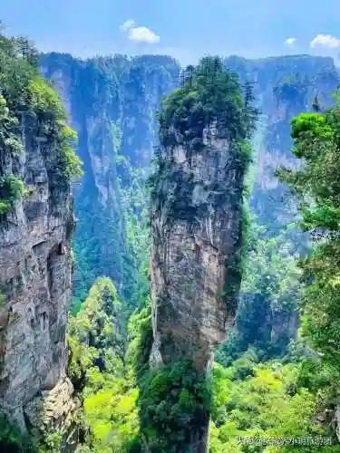 凤凰5怎么搭配阵容最好(斗罗大陆火凤凰阵容搭配)插图16
