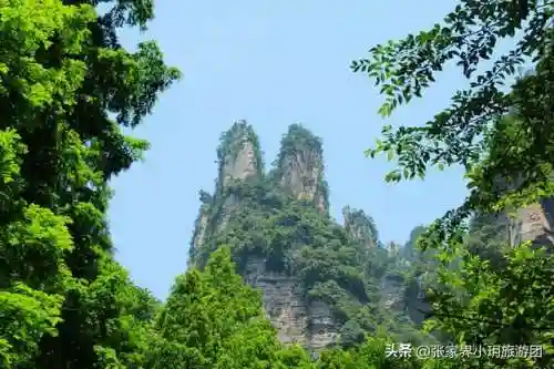 凤凰5怎么搭配阵容最好(斗罗大陆火凤凰阵容搭配)插图11