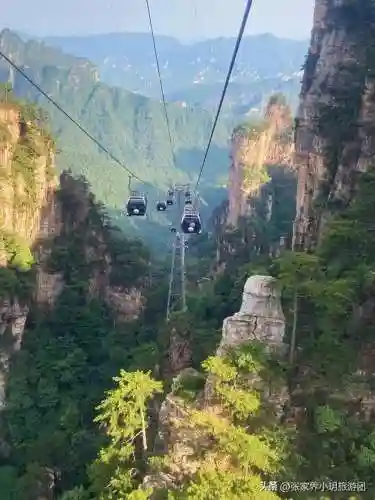 凤凰5怎么搭配阵容最好(斗罗大陆火凤凰阵容搭配)插图1