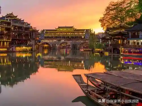 凤凰5怎么搭配阵容最好(斗罗大陆火凤凰阵容搭配)插图36