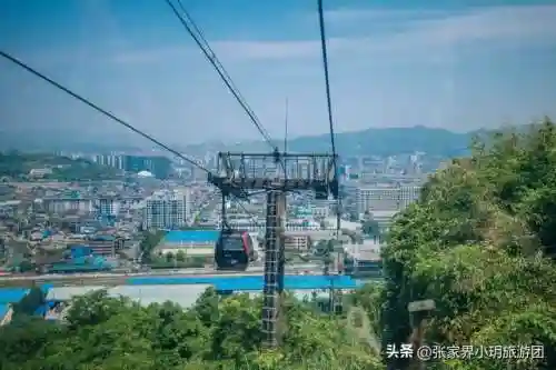 凤凰5怎么搭配阵容最好(斗罗大陆火凤凰阵容搭配)插图27