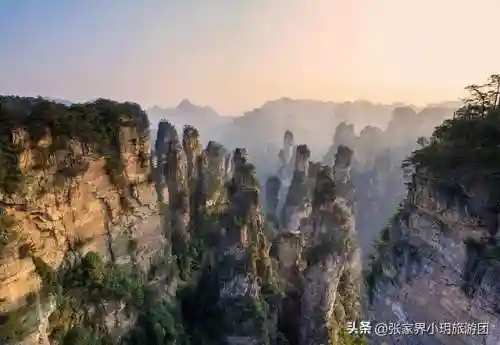 凤凰5怎么搭配阵容最好(斗罗大陆火凤凰阵容搭配)插图20