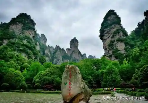 凤凰5怎么搭配阵容最好(斗罗大陆火凤凰阵容搭配)插图5