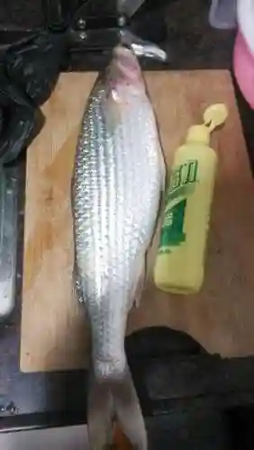 激战新海骚阵容搭配攻略(激战王城最强阵容)插图27