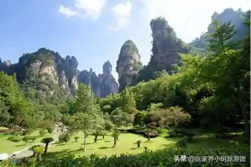 凤凰5怎么搭配阵容最好(斗罗大陆火凤凰阵容搭配)插图7