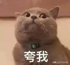 奥拉星阵容搭配推荐(奥拉星当前版本最强阵容)插图17