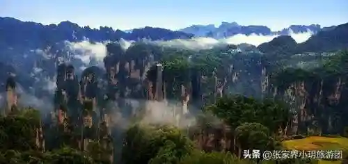 凤凰5怎么搭配阵容最好(斗罗大陆火凤凰阵容搭配)插图13