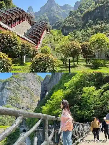 凤凰5怎么搭配阵容最好(斗罗大陆火凤凰阵容搭配)插图25