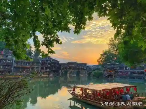凤凰5怎么搭配阵容最好(斗罗大陆火凤凰阵容搭配)插图30