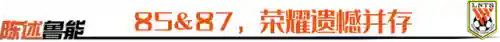 06国青队阵容(1985年国青足球队名单)插图7