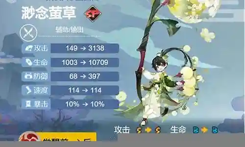 搭配萤草的阵容插图