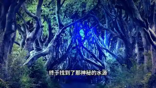 邪恶巫师阵容(多多自走棋巫师阵容推荐)插图1