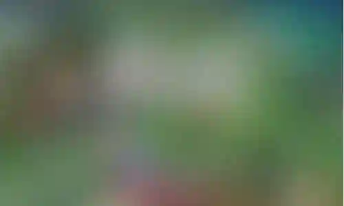 孙策和姜子牙搭配什么阵容插图