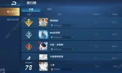 王者阵容怎么搭配技巧插图