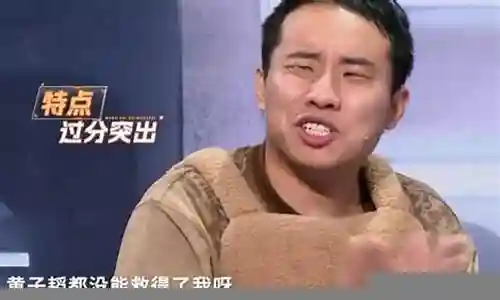 王牌家族新阵容搭配图鉴插图