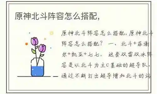 北斗新手阵容怎么搭配最强插图