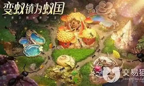 小小蚁国射阵容搭配插图