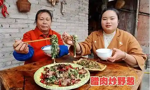 农家乐搭配什么阵容插图