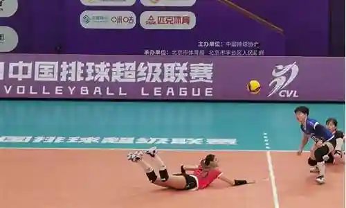 北汽女排2019年阵容插图