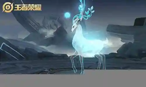 瑶的阵容图插图