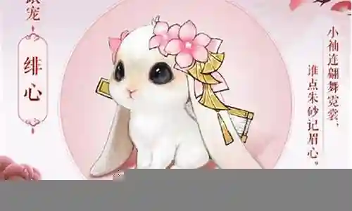 剑网三所有宠物攻略插图