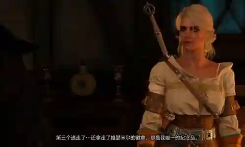 巫师3杀守卫掉装备插图