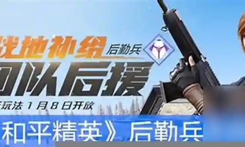 和平精英后排阵容搭配技巧插图