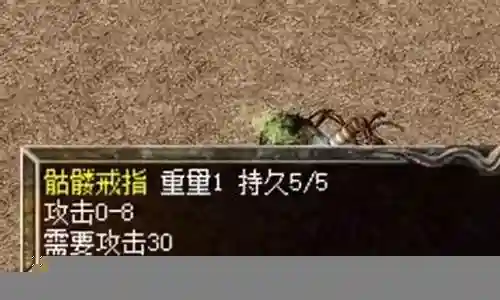 传奇法师22级装备插图