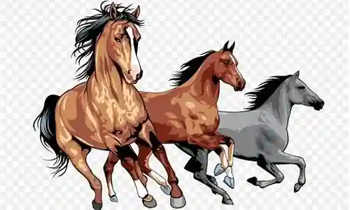 三匹骏马最强阵容插图