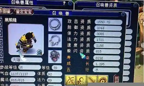 梦幻西游五开带攻宠插图